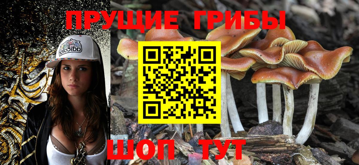 Псилоцибиновые грибы ЛСД  Вход с VPN  Галлюциногенные грибы Psilocybine cubensis  Таганрог 