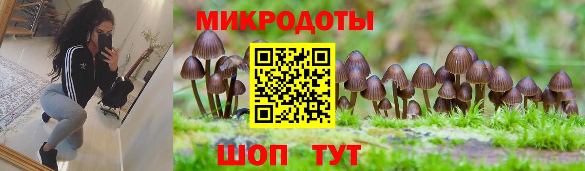 Псилоцибиновые грибы Psilocybine cubensis Таганрог